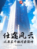 仕途风云：从基层开始问鼎巅峰